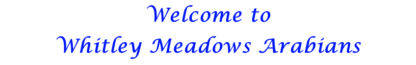Welcome to  Whitley Meadows Arabians